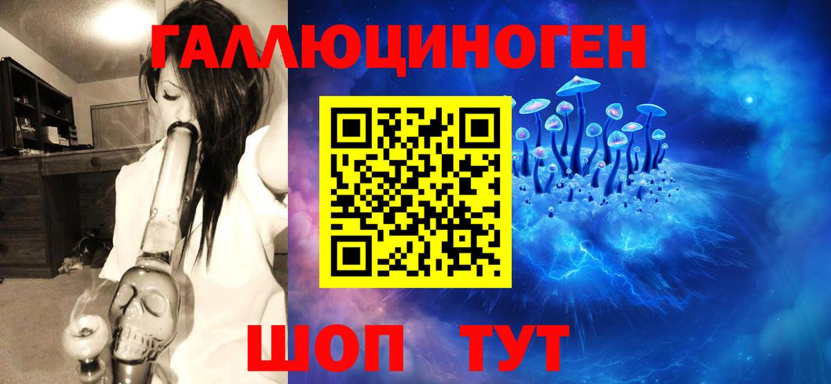 Галлюциногенные грибы Cubensis  Вход с VPN  Галлюциногенные грибы Cubensis  Ачхой-Мартан 