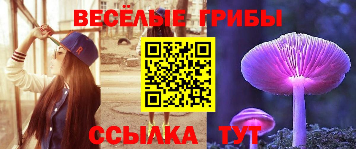 Галлюциногенные грибы GOLDEN TEACHER Ачхой-Мартан